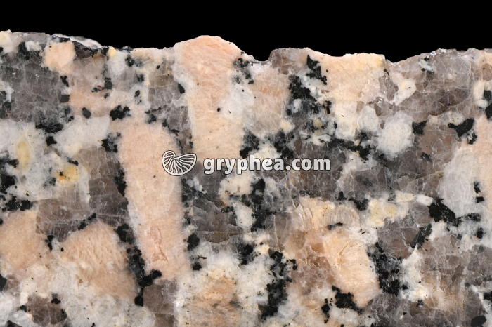 Granite rose - surface polie - détail - gryphea.com